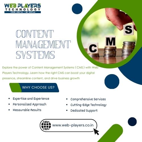  Content Management System